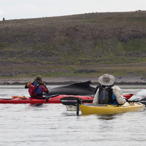 l_gallery59e5f9e27e60c