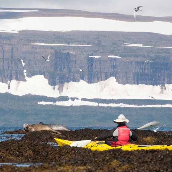 l_gallery59e5fa98de2ae