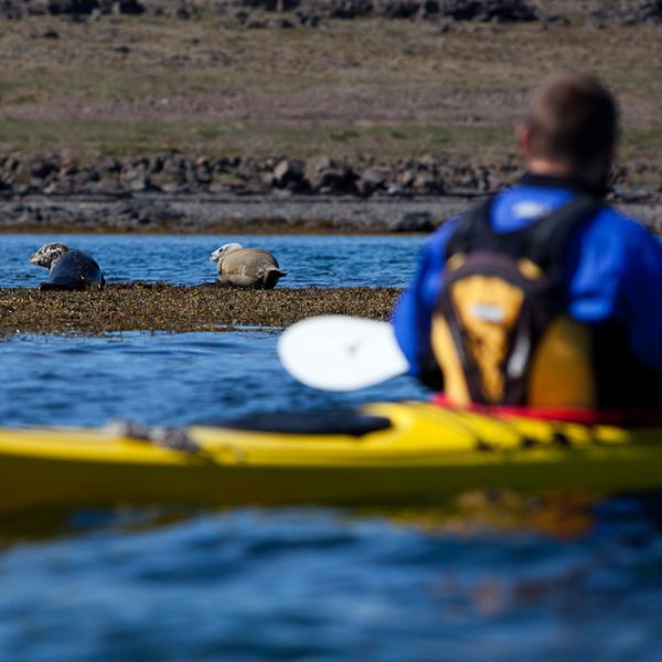 l_gallery59e5fa9ccf54e