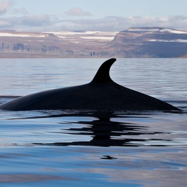 l_gallery59e60d6945ad0