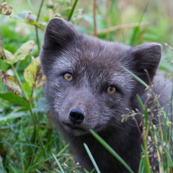 l_gallery5ba91a86b4b52