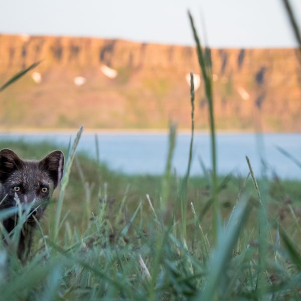 l_gallery5bacbd2ab6935