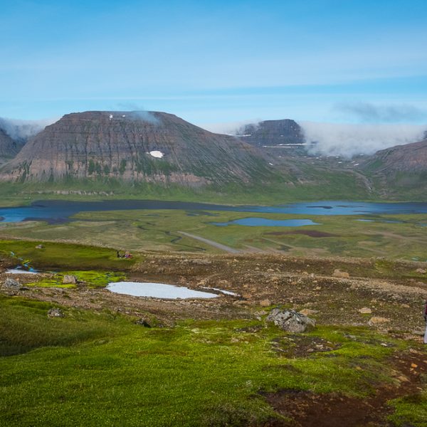 l_gallery5bacbd2cc9ba4