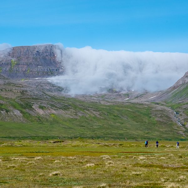 l_gallery5bacbd2dcb5f6