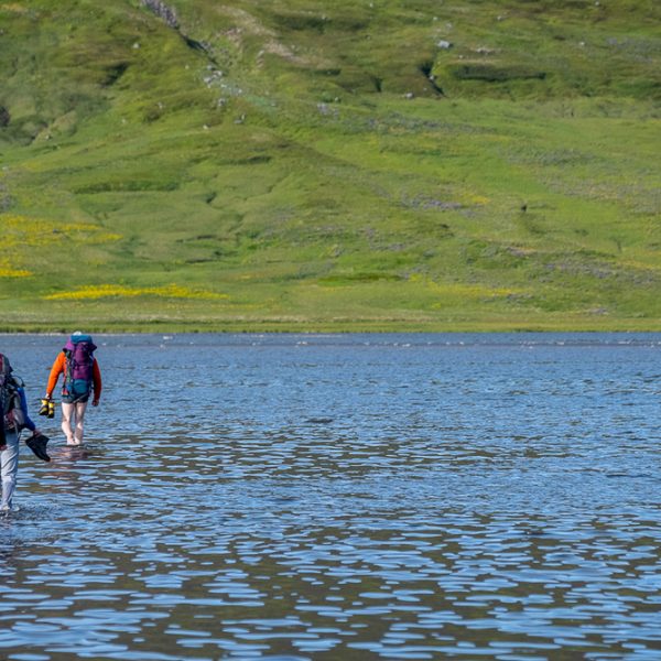 l_gallery5bacbd2ec303b