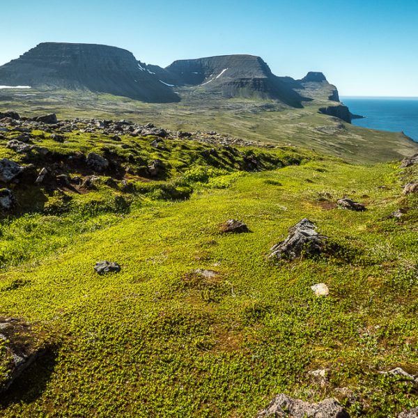 l_gallery5bacbd32420f2