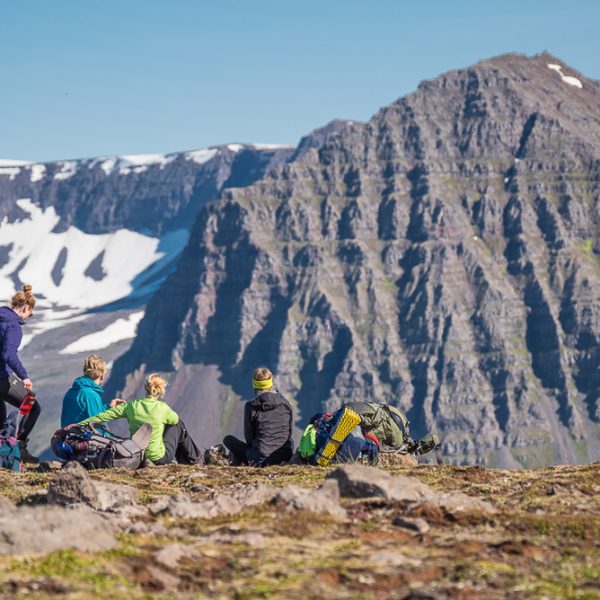 l_gallery5bacbd3342793