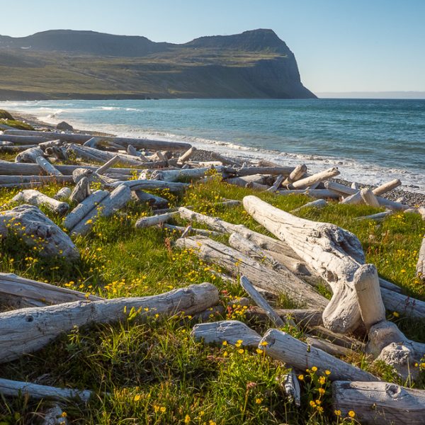 l_gallery5bacbd3470aa7