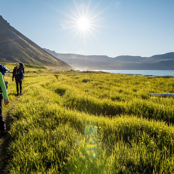 l_gallery5bacbd357eec1