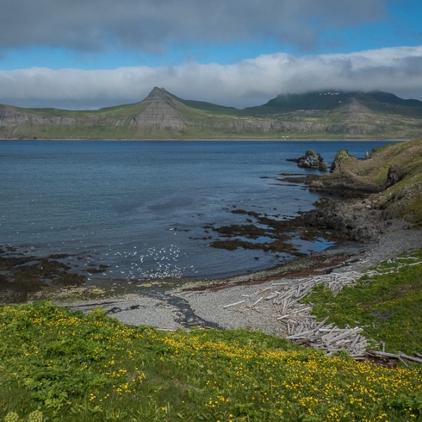 l_gallery5bacbd394e317