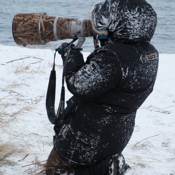 l_gallery5bf6a91ec1454