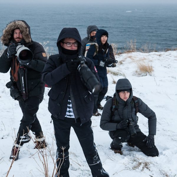 l_gallery5bf6a9280a205