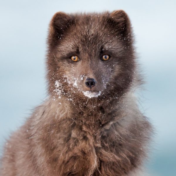 l_gallery5bfcf6720472d